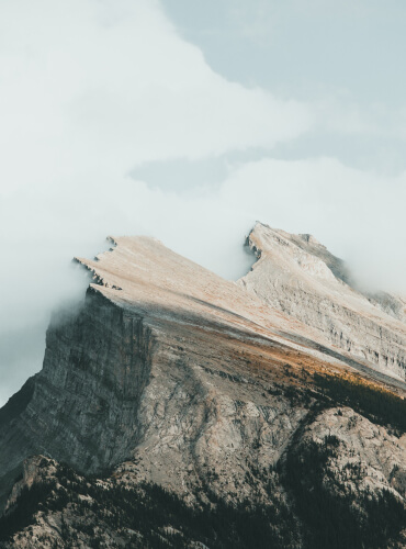 Branding, Strategy & Analysis